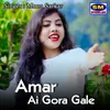 Amar Ai Gora Gale